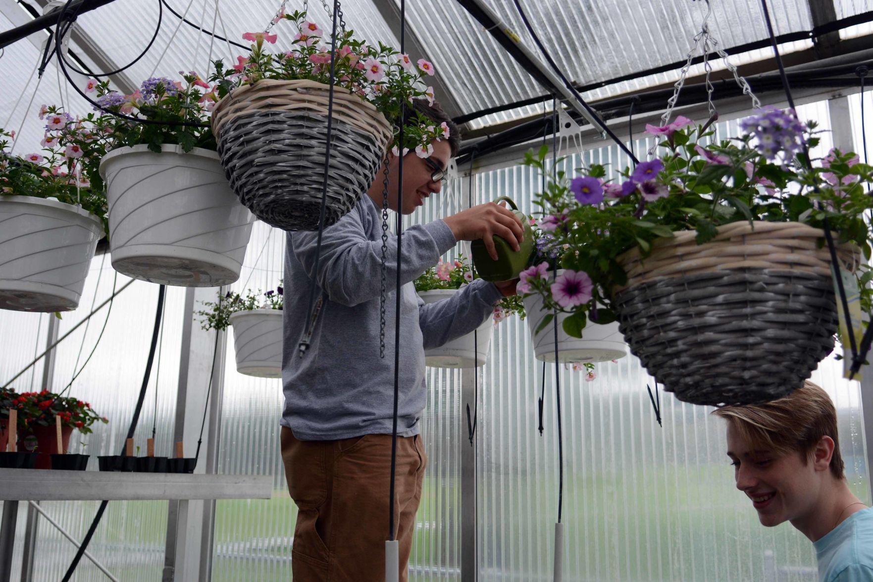 Baraboo High School students prepare for annual plant sale
